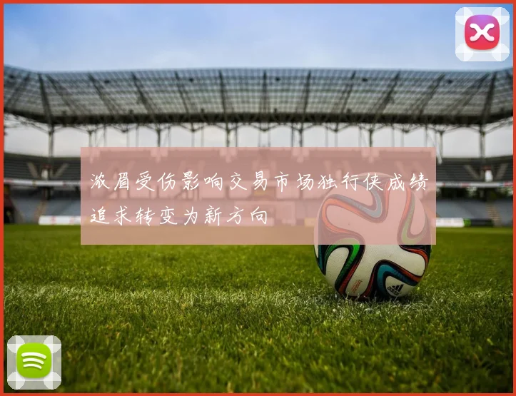 浓眉受伤影响交易市场独行侠成绩追求转变为新方向