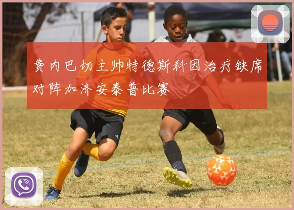 费内巴切主帅特德斯科因治疗缺席对阵加济安泰普比赛